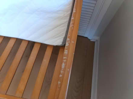Photo of free Cotbed/ toddler bed (Tonbridge road,Maidstone) #4