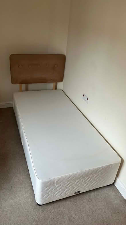 Photo of free Single Bed (Sedgley) #1