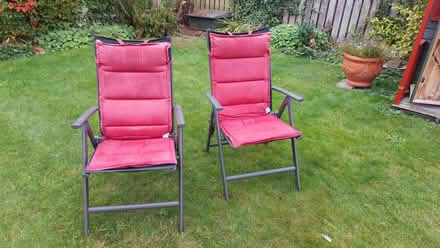 Photo of free Garden Chairs (Seghill NE23) #1