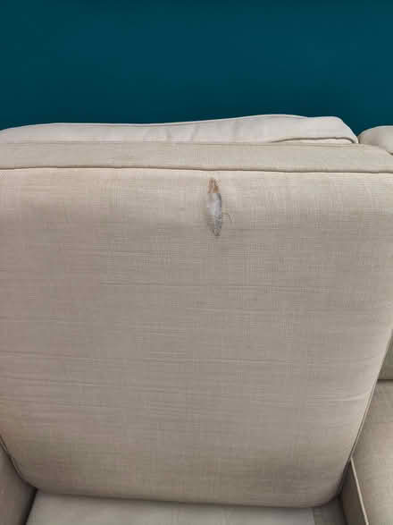 Photo of free Cream/light beige 2 seater sofa (Whitton TW2) #3