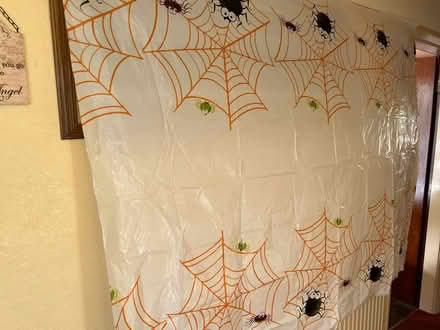 Photo of free Halloween Decorations (Hereford HR4) #3