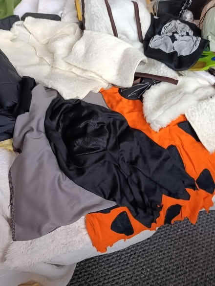 Photo of free Costumes kids and decorations (Forest Gate E7) #2