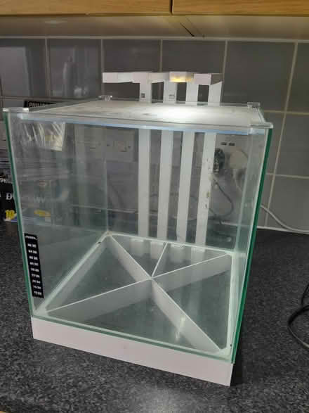 Photo of free Small fishtank (Sidcup DA14) #1