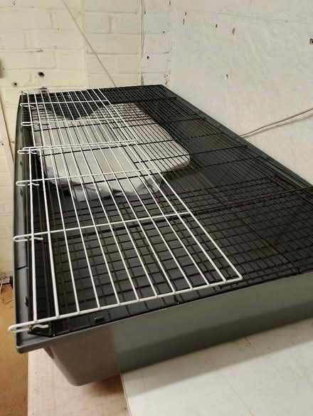Photo of free Indoor guinea pig cage and liners (Kingswood SS16) #3