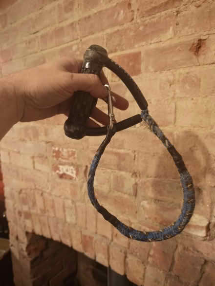 Photo of free Ezydog short traffic control handle lead (Bawdsey IP12) #1