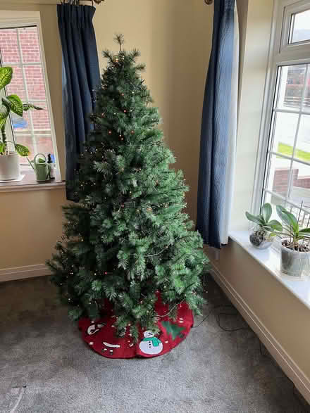 Photo of free Christmas Tree (Hunter's Hill TS14) #1