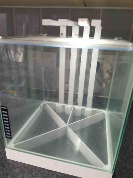 Photo of free Small fishtank (Sidcup DA14) #2