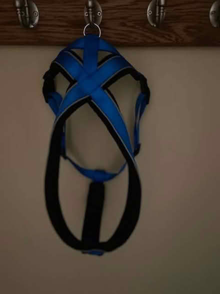Photo of free Harness for dog (Farnborough Park GU14) #1
