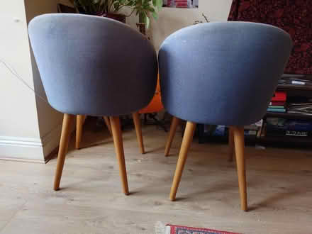 Photo of free Blue chairs with arm rests (Preston Park area BN1) #2