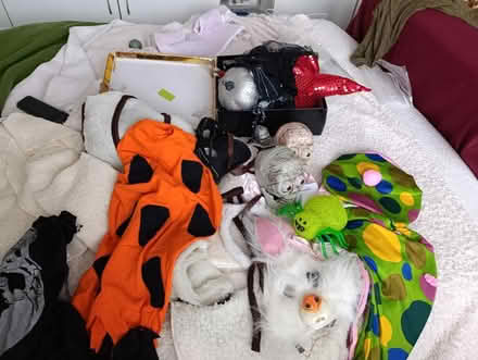 Photo of free Costumes kids and decorations (Forest Gate E7) #4