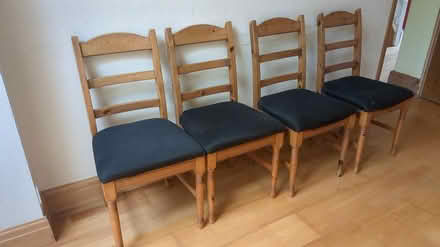 Photo of free Dining chairs (Enfield EN1) #1