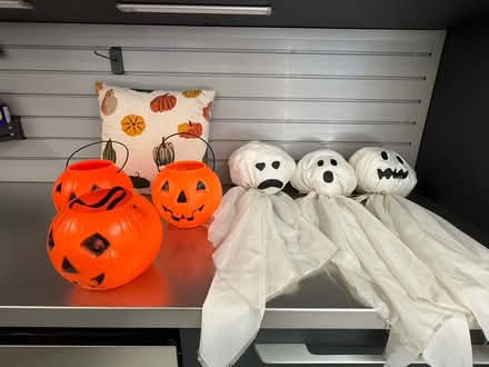 Photo of free Halloween decor (Hinsdale, IL) #3