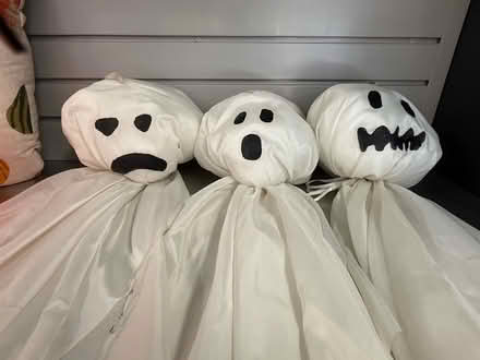 Photo of free Halloween decor (Hinsdale, IL) #2