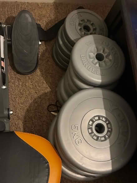 Photo of free Weights/rowing machine (Tupsley HR1) #3