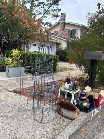Photo of free Garden stuff and Halloween (Near SuperDuper) #2