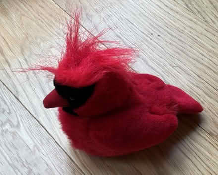 Photo of free toy with sound (Cookham SL6) #2