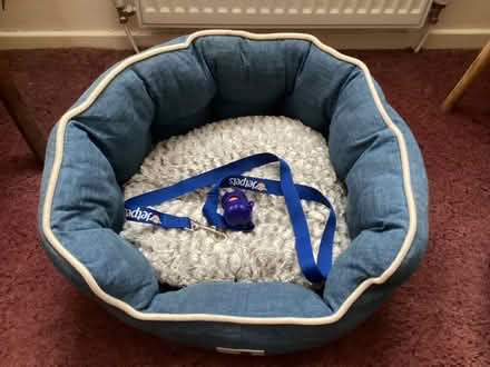 Photo of free Dog bed and lead. (Langley SL3) #1