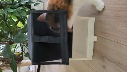 Photo of free Bundle of Foldable Fabric Storage Boxes (Black & White) (Kidlington OX5) #4