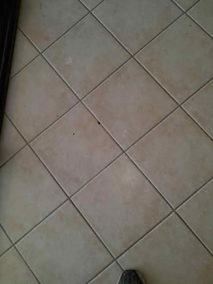 Photo of free Floor tiles (Umina Beach) #1