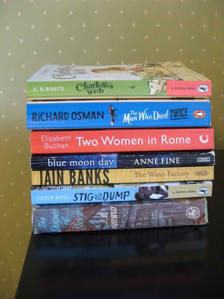 Photo of free 13 paperback books: Mostly novels (Croham CR2) #2