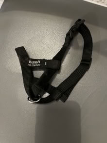 Photo of free dog harness and muzzle (Kirkdale) #2