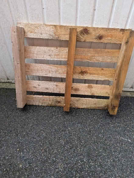Photo of free Pallet (Monkwick CO2) #1