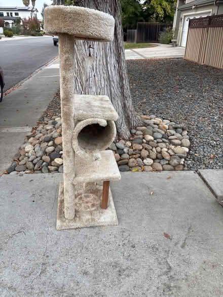 Photo of free Cat tower (Mitty High area) #1