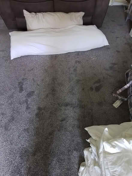 Photo of free Pillows new (Peacehaven BN107NT) #1