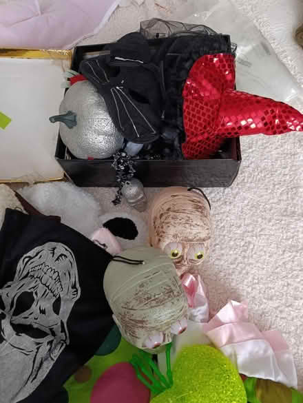 Photo of free Costumes kids and decorations (Forest Gate E7) #1