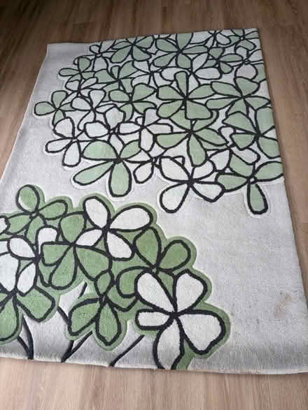 Photo of free Green and Cream rug (Highcliffe BH23 5BA) #2
