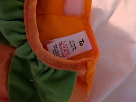 Photo of free Pumpkin Halloween costume age 1-2 (Carlton WF3) #3