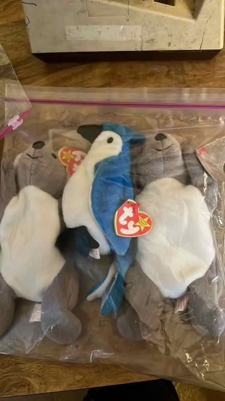 Photo of free Beanie Babies (Niles) #2