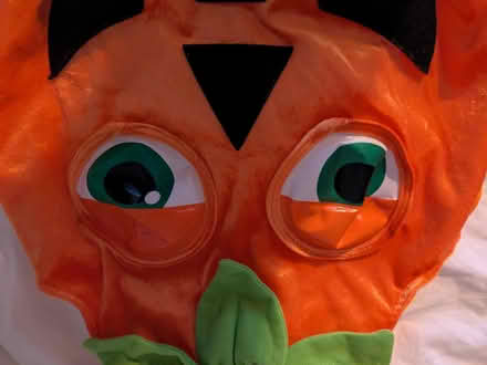 Photo of free Pumpkin Halloween costume age 1-2 (Carlton WF3) #2