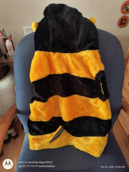 Photo of free Bumble bee costume (Crestwood near Princeton Halls) #2