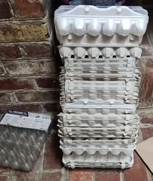 Photo of free 25+ Egg Cartons (empty) #1