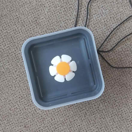 Photo of free usb cat water fountain. (Herstmonceux BN27) #1