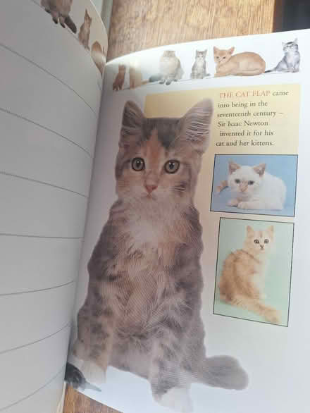 Photo of free 1998 cat diary (New Addington CR0) #2