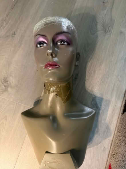 Photo of free Mannequin (Bletchley MK3) #1