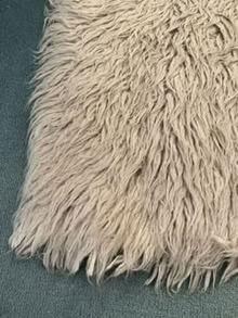 Photo of free Rug (London W6) #1