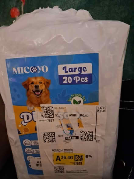 Photo of free Male dog nappies & harness (Loughborough) #2
