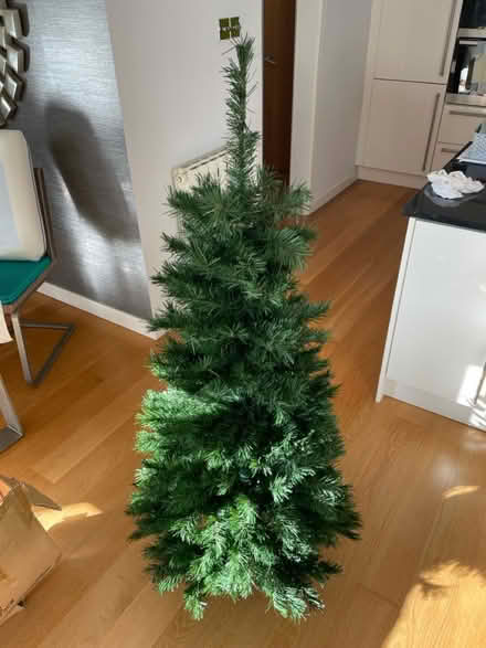 Photo of free Christmas Tree (Central Haywards Heath RH16) #1