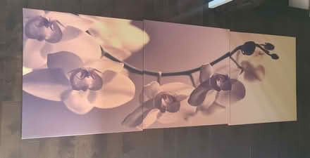 Photo of free 3 piece floral canvas print (Mavis and burnhamthorpe) #1