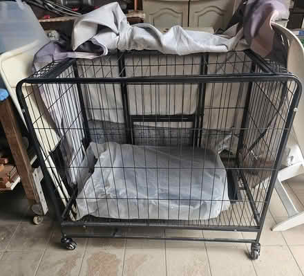 Photo of free Large Dog Cage (Siglap) #1