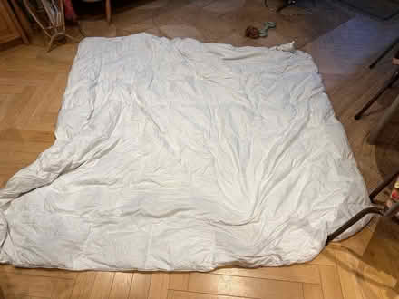 Photo of free Feather Duvet (Forest Gate, E7) #1
