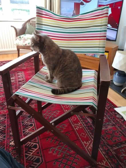 Photo of free Folding chair (Shinfield RG2) #1