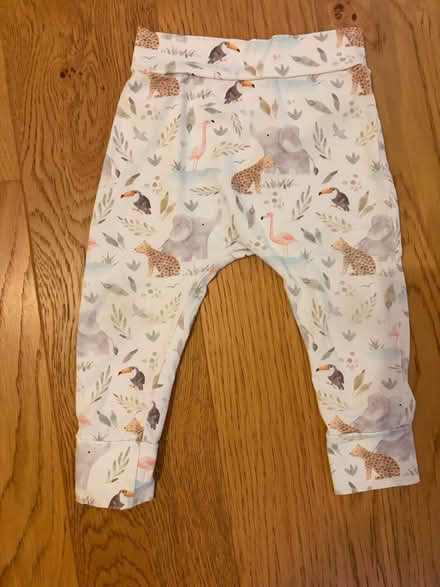 Photo of free Toddler leggings 18-24m (Hither Green SE13) #1