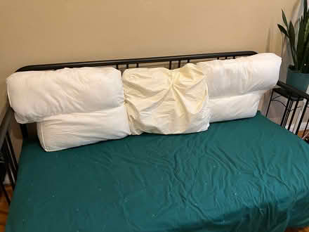 Photo of free Sofa Cushions (Palo Alto) #1