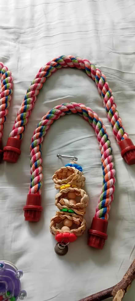 Photo of free Budgie Toys, Perches etc (Baldock, SG7) #3