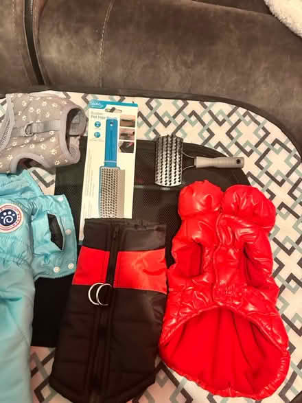 Photo of free small dog coats and playpen (Greasby) #3