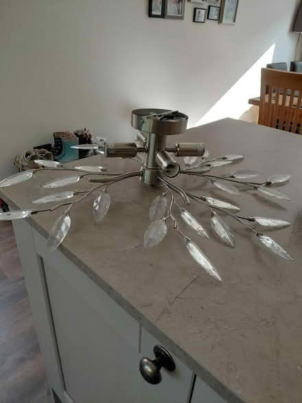 Photo of free Electric light fitting (Tinkersley DE4) #1